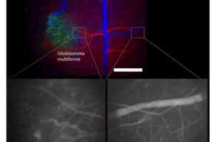 近赤外線発光色素による 可視化アプリケーション マシンビジョン大全 Fa ファクトリーオートメーション 用途で活用する事例を紹介するウェブメディア マシンビジョン大全 Fa ファクトリーオートメーション 用途で活用する事例を紹介するウェブメディア